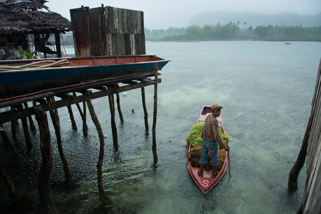 A seaweed farmer heads back home with his harvest