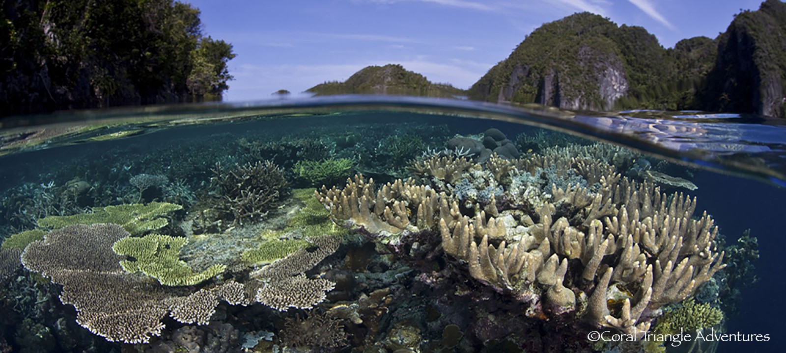 coral-triangle-adventures-10.jpg