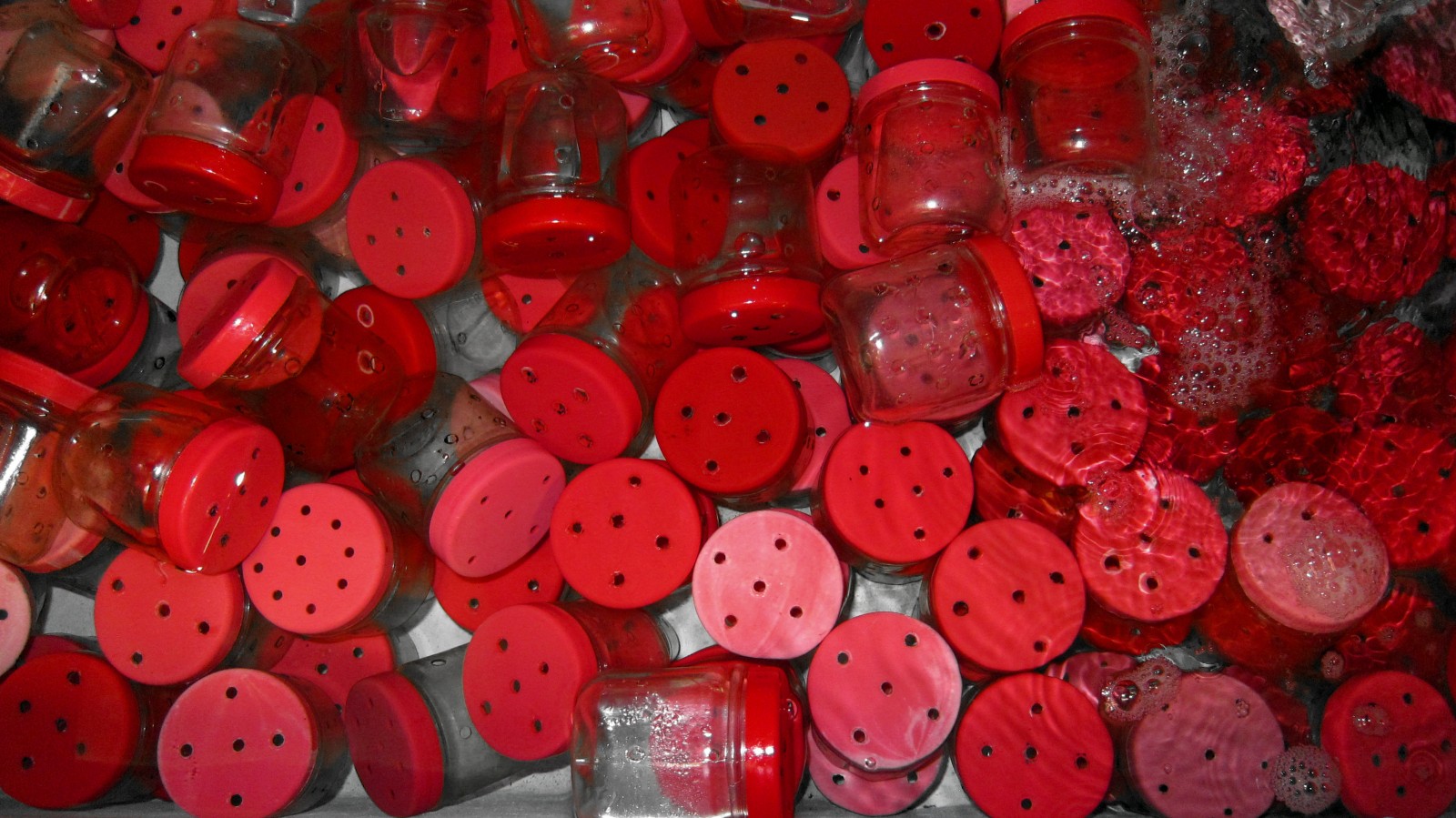 jars-for-isolating-reef-species.jpg