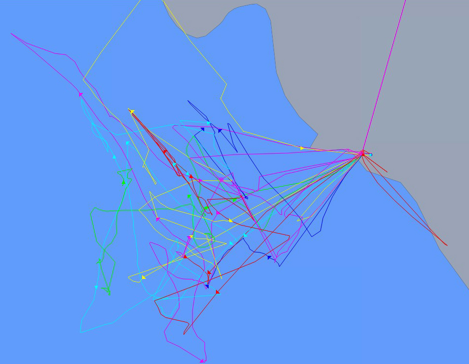 Precisely-plotted routes of all 13 vessels with satellite trackers