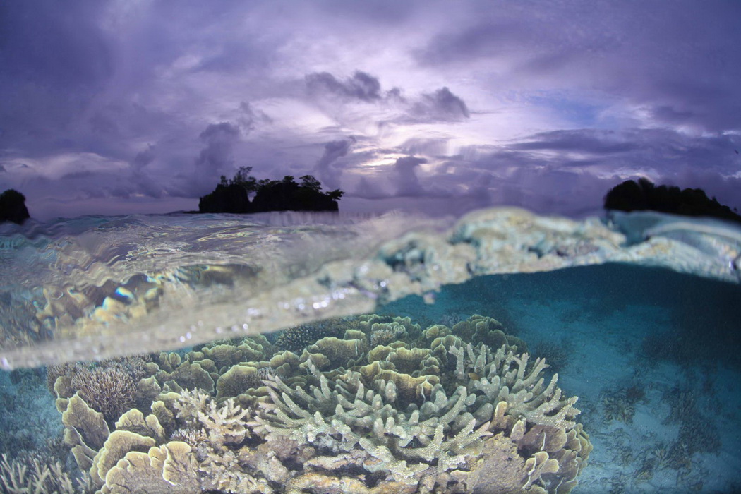 raja_ampat_reefs_more_resilient_diana_himmelsprach