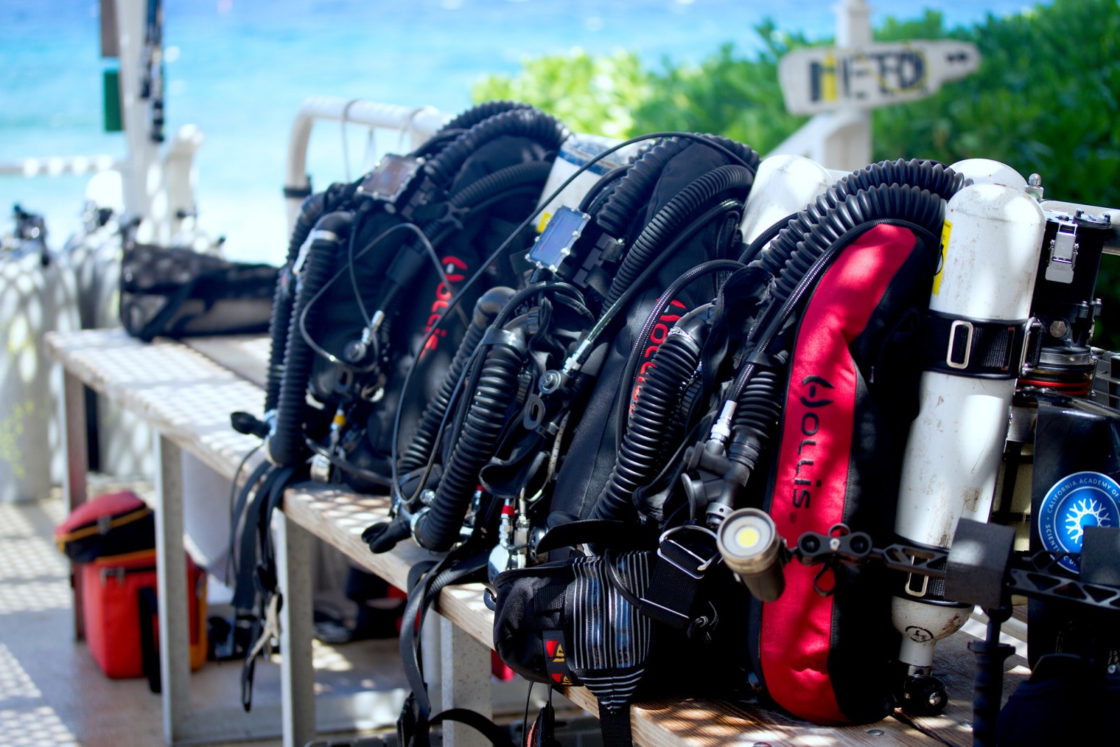 rebreathers_on_shore_rocha.jpg