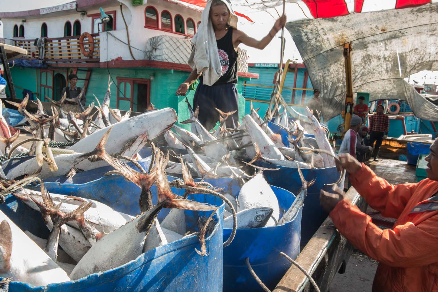 the-vessels-main-catch-was-skipjack-tuna-stocks-of-which-are-running-low-due-to-overfishing-photo-by-johnny-langenheim.jpg